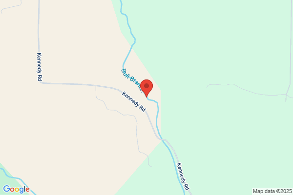 Bull Branch