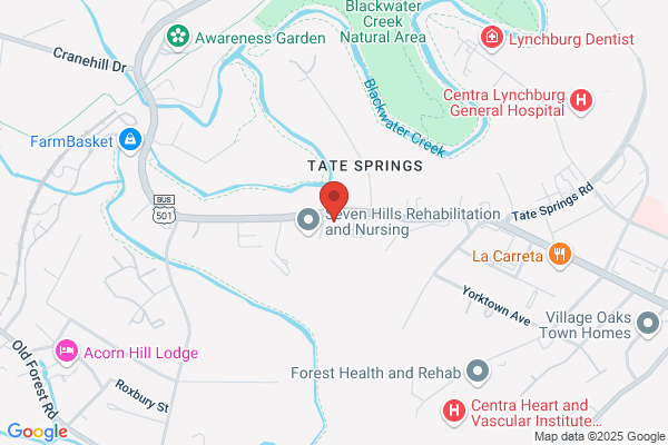 Home Instead Senior Care