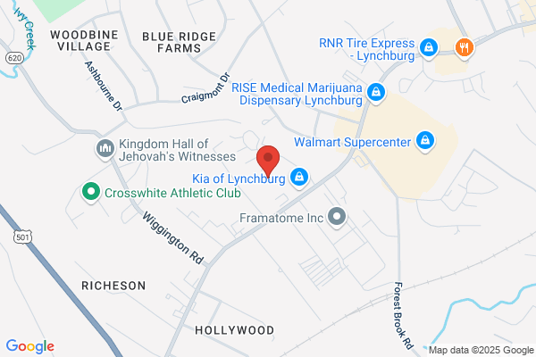 Central Virginia Community Services, Mental Health Services