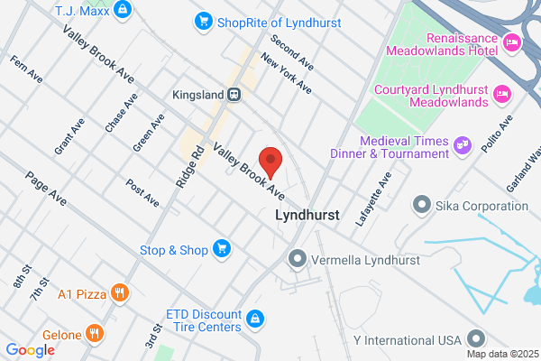 Plaid Motors Inc