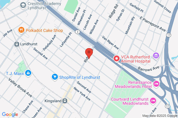 Lyndhurst Dental Center