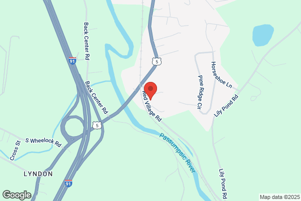 NAPA Auto Parts - Sanel Auto Parts Lyndonville