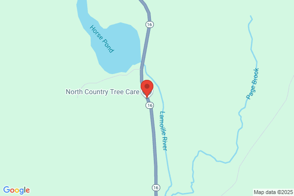North Country Tree Care