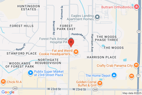 Forest Park Dental