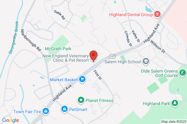 New England Vet Clinic
