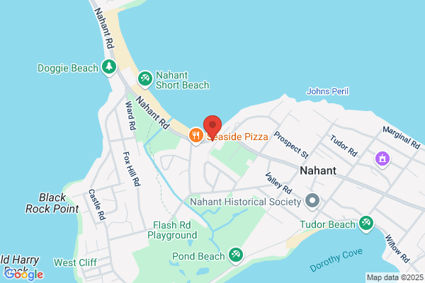Nahant Associates Inc
