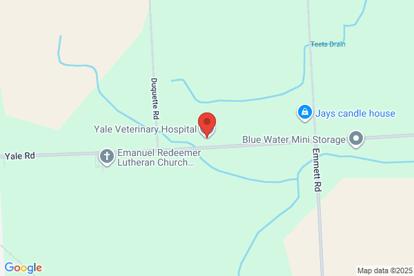 Yale Veterinary Hospital