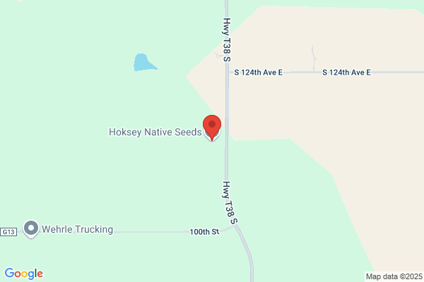 Hokseys Native Seeds