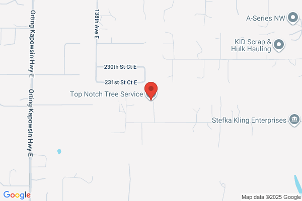 Top Notch Tree Service