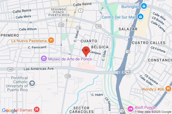Ponce Auto Electric