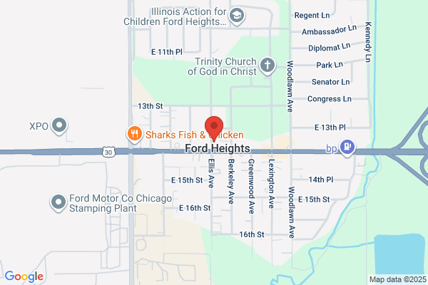 Ford Heights Village of, Treasurer