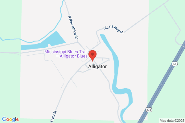 Alligator Grocery