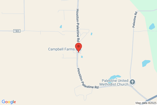 Campbell Farms