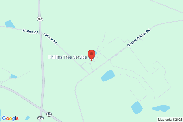 Phillips Tree Service
