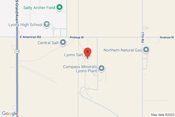 Lyons Salt Company