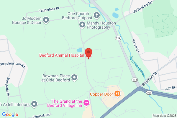 Bedford Animal Hospital