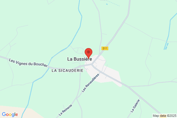 Bussiere & Bussiere, P.A.