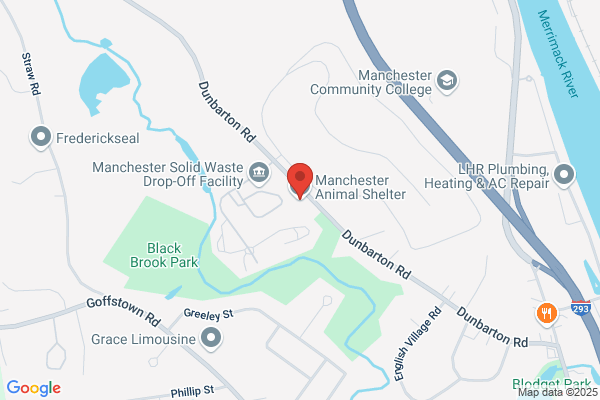 Manchester Animal Shelter