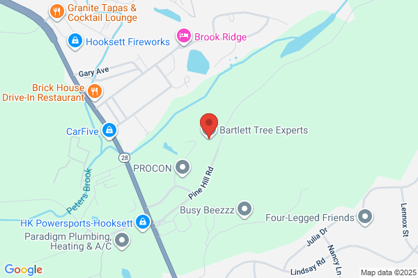 Bartlett Tree Experts