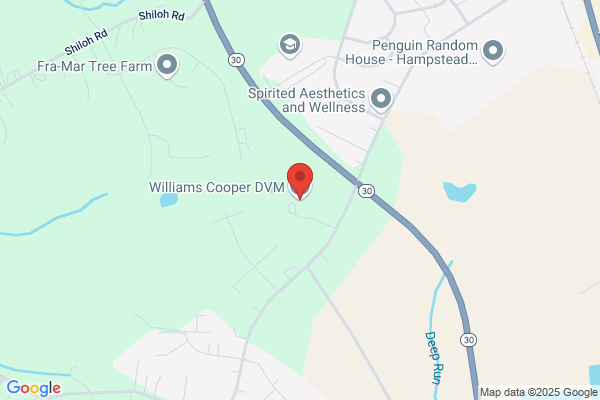 Cooper Amy W DVM