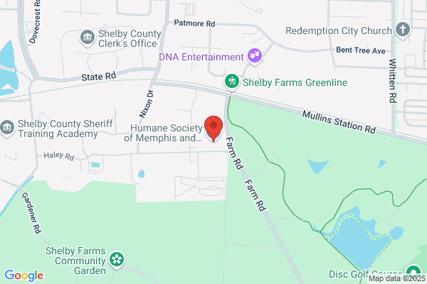 Memphis Humane Society Cat Adoption Center