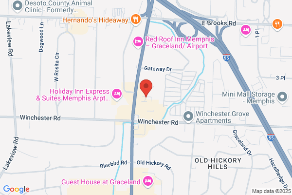 Dns Auto Repair