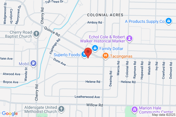 Fred's Discount Stores, Discount Stores