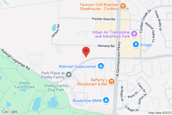 Dobbs Mazda, All Departments