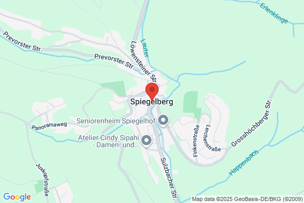 Speigelberg Wirth & Purcell