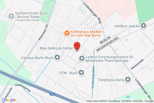 M & S Clinical Services Assessment Center