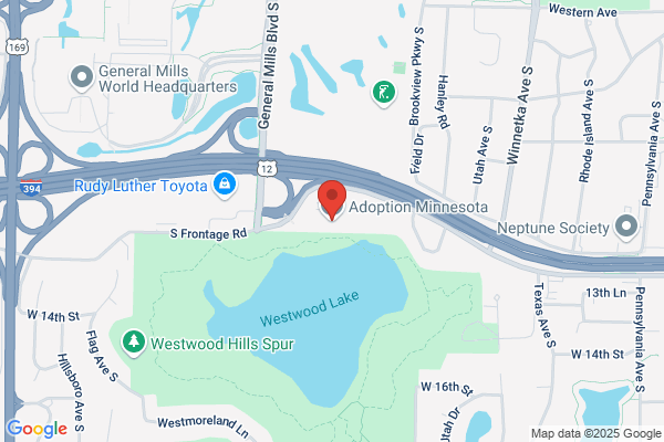 Minnesota Adoption Resource Network Inc