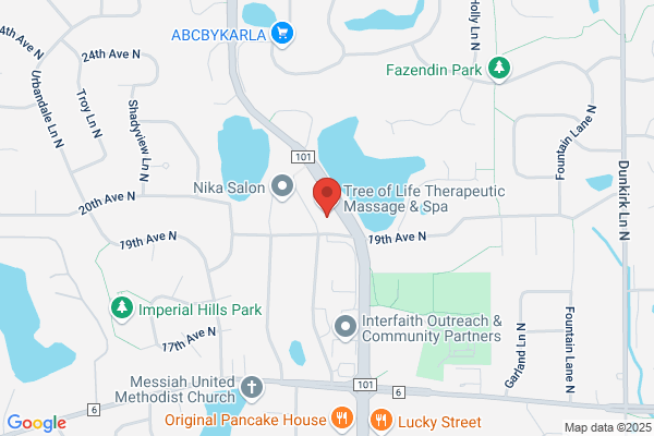 Easy Driving School Wayzata