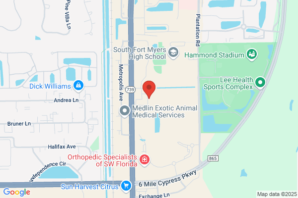 Dausa-Hernandez Maria DDS
