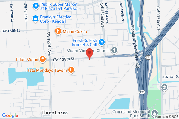 Mr. Mold - Mold Removal Experts
