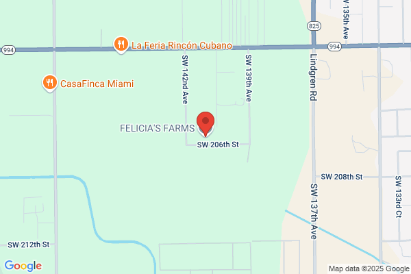 Felicias Flowers