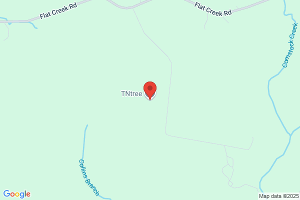 T & N Tree Service, Inc