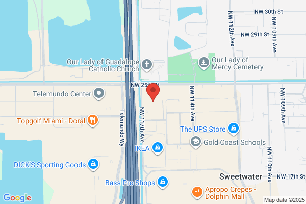 Miami International Service Inc