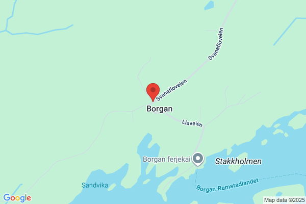 Borgan Carl A