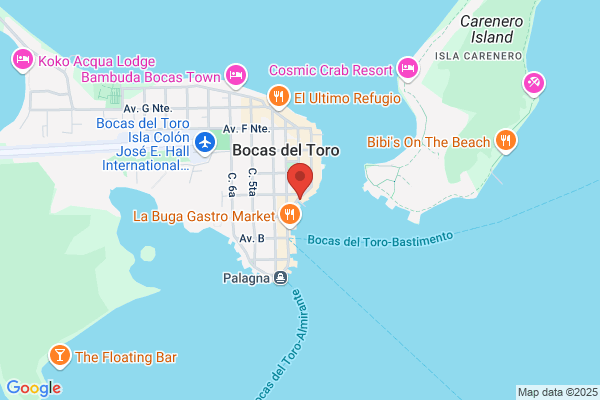 Buena Vista Realty Corporation