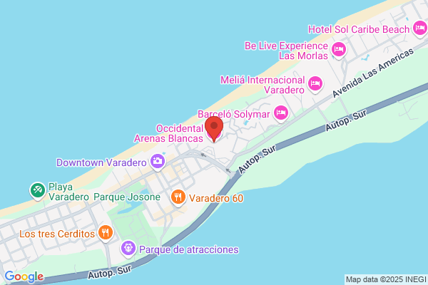 Arenas Blancas International Service Inc