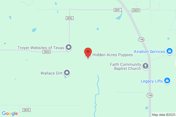 Hidden Acres Puppies