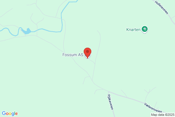 Fossum Painting & Tree Service