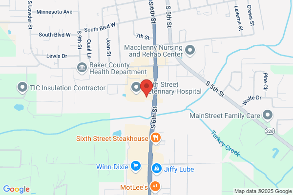 AutoZone Auto Parts