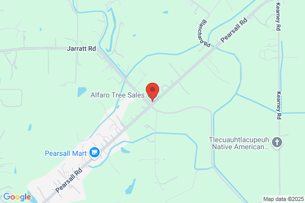Alfaro Tree Sales Inc