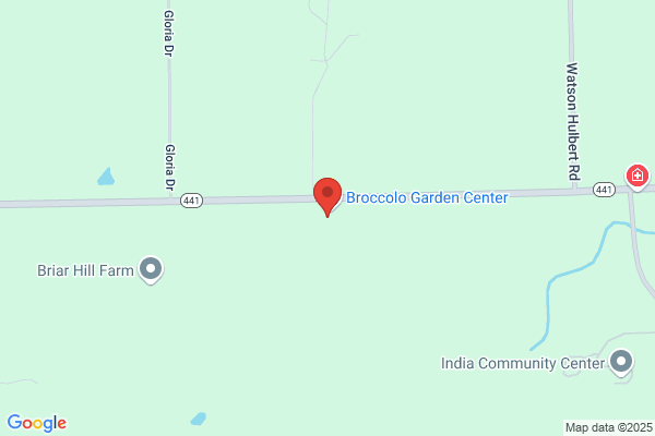 Broccolo Tree and Lawn Care
