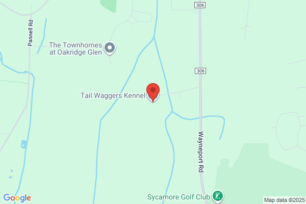 Tail Waggers Kennel