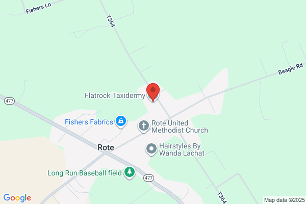Flatrock Taxidermy