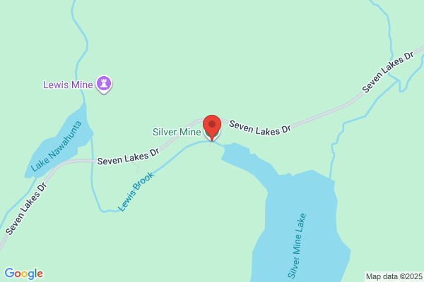 Silver Mine