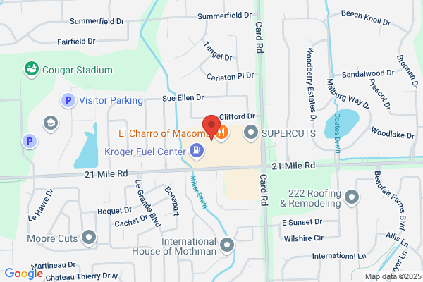 Orange Leaf Frozen Yogurt