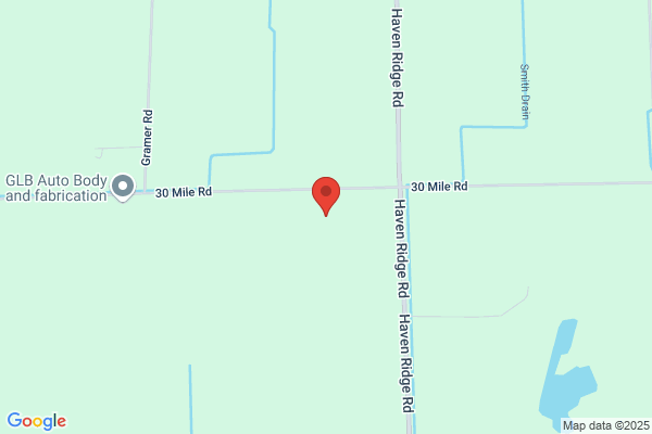 Expert Tree Service Macomb
